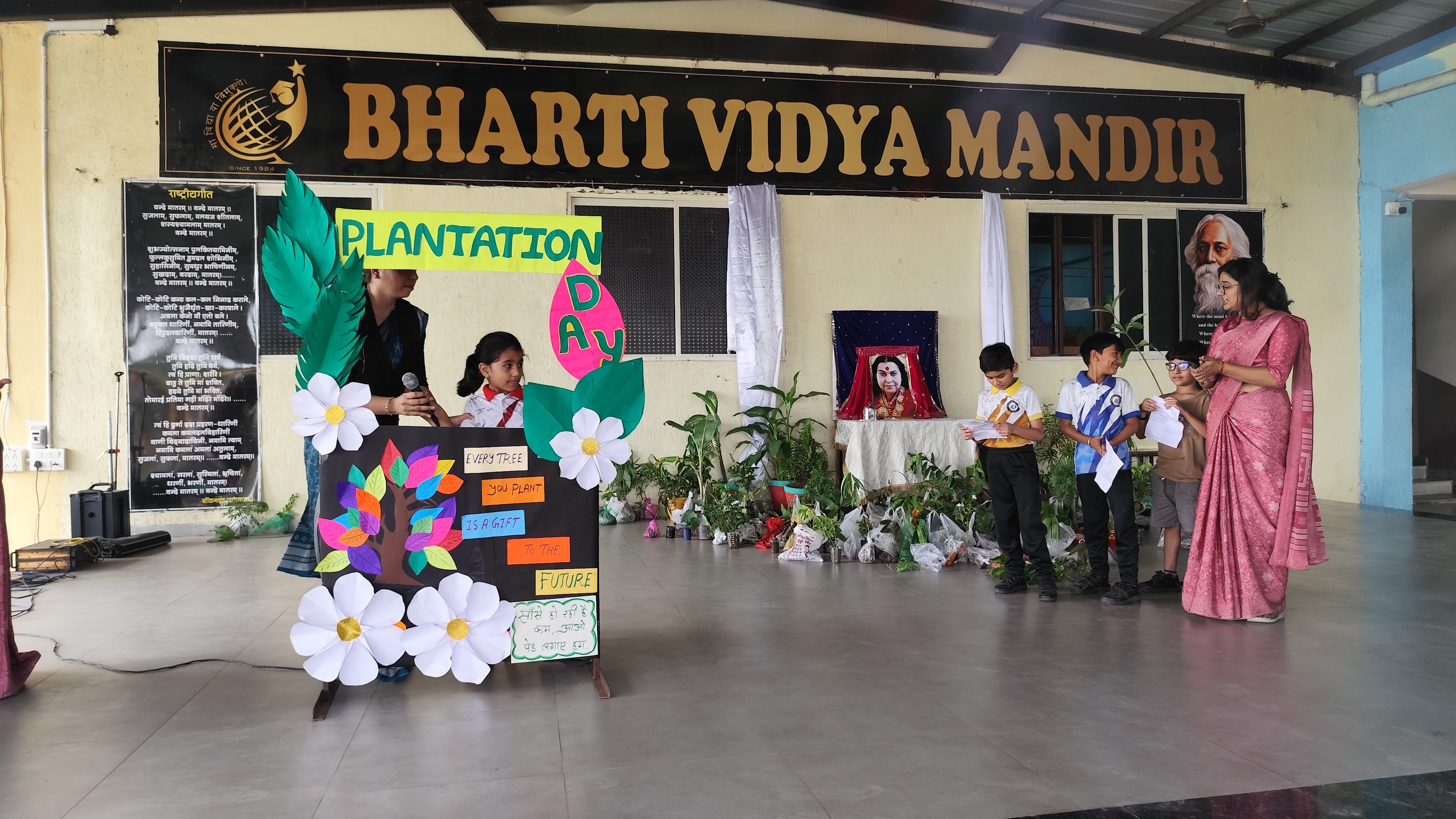 Tree Plantation